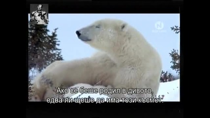 Кнут и Приятели 06.04.11 Част 2/5