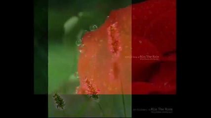 Yiruma - When The Love Falls