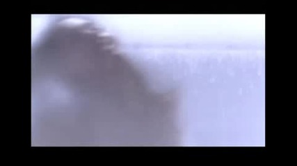 [pv] Kobukuro - Niji