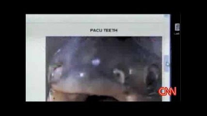Риба С Човешки Зъби 