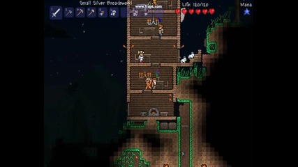 Terraria Server for 1.1.2