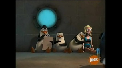 The Penguins Of Madagascar 1x08 Penguiner Takes All xvid - sailo1.flv