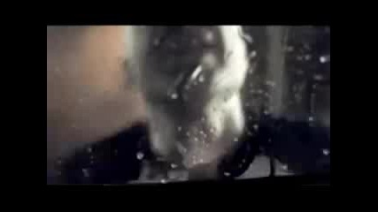 Disturbed - The Night