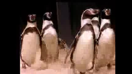 Annie Lennox - A Whiter Shade Of Pale