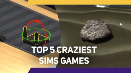 5 Craziest Sims