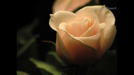 My secret garden - Relaxing music 