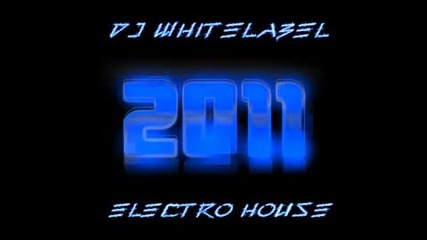 Dj whitelabel - Electro House 2011 (new Year Mix)
