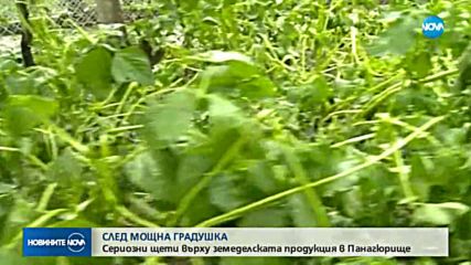 Новините на NOVA (25.05.2018 - следобедна емисия)
