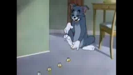Tom And Jerry - 061 - Nit Witty Kitty