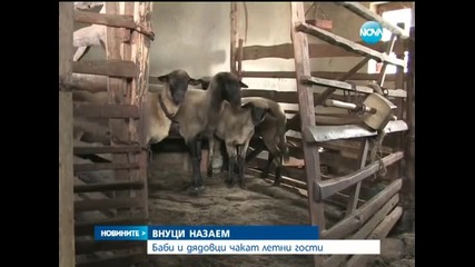 Баби и дядовци чакат внуци "назаем" - Новините на Нова