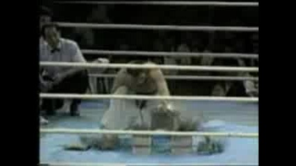 K1 - Best Of Andy Hug