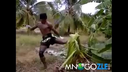 Как се секат дърва в Тайланд