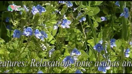 Something new for the Feast of the Rose in Kazanlak!