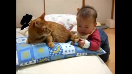 Детето изяде на котето опашката