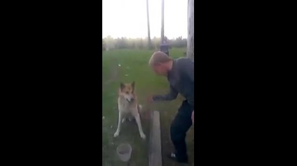 Куче поздравява