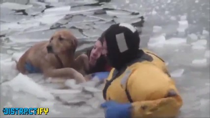 Пожарникари спасяват куче