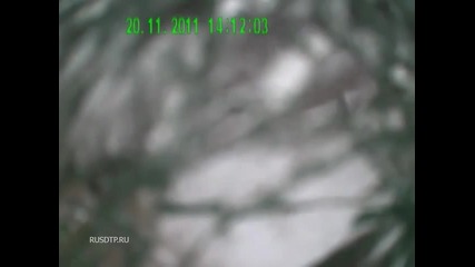 Поднасяне на леда (много гадно)
