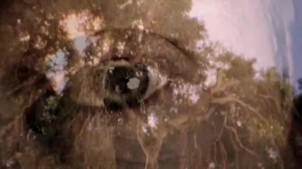 Jason Mraz - I Won't Give Up [official Music Video]