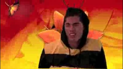 vbox7 Im A Bee Black Eyed Peas Spoof 