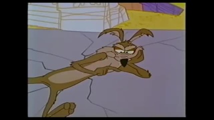 Roadrunner and Wile Coyote- Zoom at the Top