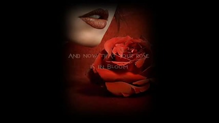 seal - kiss from a rose (with lyrics)