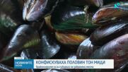 Иззеха над половин тон незаконно уловена черна мида и забранени уреди за риболов