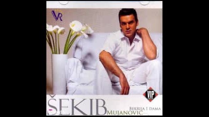 Sekib Mujanovic 2011 - Pozelim 