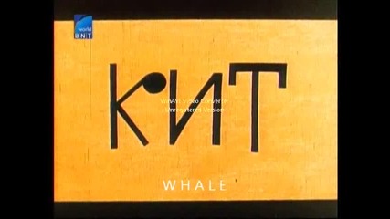Кит 1969 Бг Аудио Част 1 Tv Rip Бнт Свят