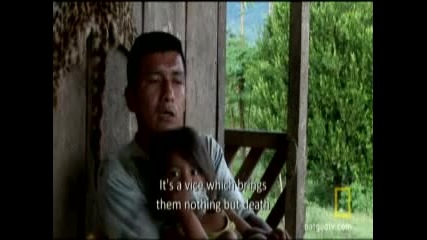 Животът на кокаиновия фермер 