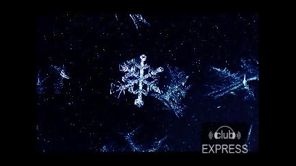 Dt8 Project - Winter Full Original Release