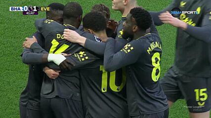 Penalty Goal by Everton