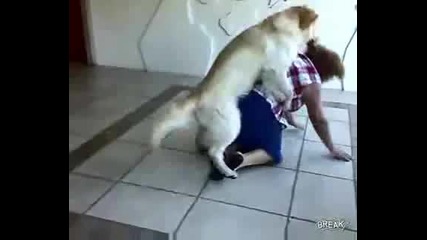 Куче се опитва да нае^е бабка :d !смяхх!! 