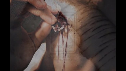 Paramore - Decode