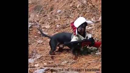Ловно куче с уникален костюм