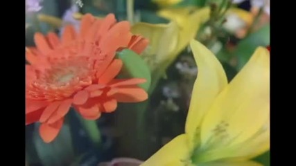 Пьотр Илич Чайковски - " Валс на цветята"- Цветница Е- Честит Имен Ден!!!