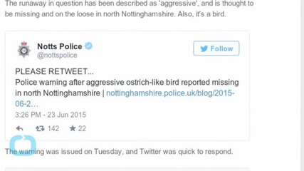 6-foot-tall "Aggressive" Runaway on the Loose in Britain