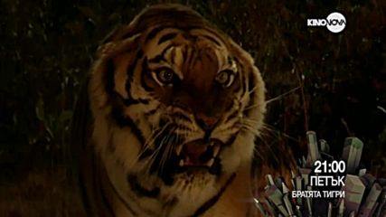 "Братята тигри" на 29 декември по KINO NOVA