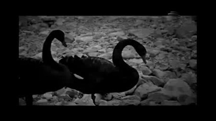 Емилия - Преди да ме убиеш