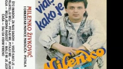 Milenko Zivkovic 1990-album