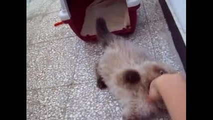 Каспър атакува:)