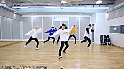 Kpop Random Dance Challenge w mirrored Dp Request by namjerk