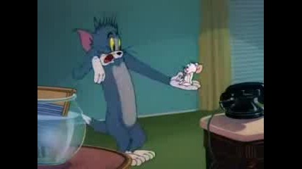 Tom and Jerry - The Missing Mouse