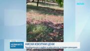 Ниски изкупни цени и проблеми сред българските производители