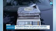 Разбиха организирана престъпна група за разпространение на наркотични вещества в Габрово
