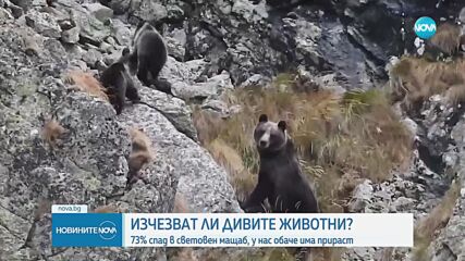 Новините на NOVA (19.10.2024 - обедна емисия)
