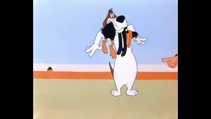 Daffy Duck - 21 - Daffy Duck Hunt 