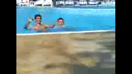 asen karnobat