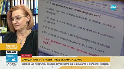 Заради грипа: Учениците в Пловдив преминаха на онлайн обучение