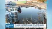 Разлив на пестициди край Свищов