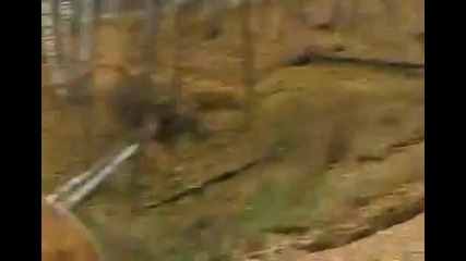 Руснаци се спускат по хълм с дървена макара